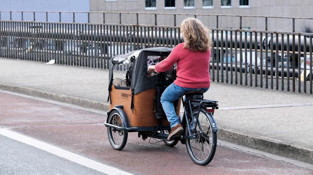 Babboe: Behrde verbietet Verkauf von Babboe-Lastenfahrrdern | DIE ZEIT