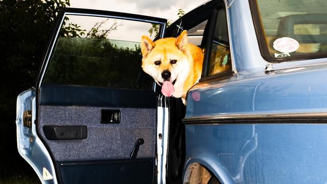 Verbrenner-Aus: German Reichweitenangst gibt Gas