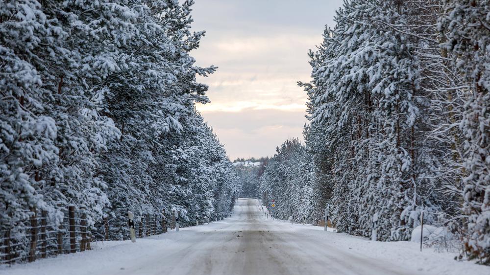 Wintereinbruch: Eine vereiste Straße in Brandenburg