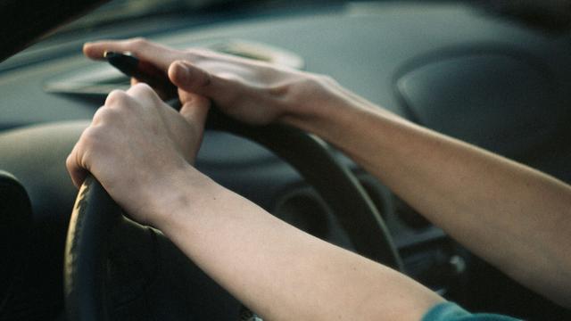 (+) Führerscheinkosten: 