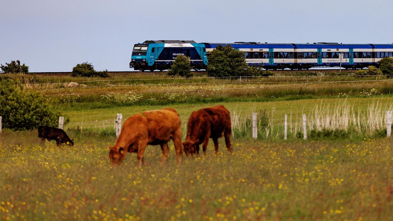 Deutsche Bahn: Bundestag gibt Planungen für milliardenteure Bahnprojekte frei