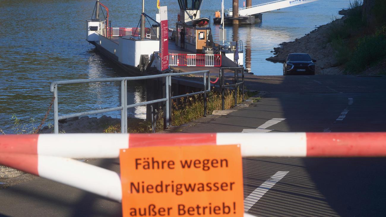 Low water: Rhine ferries resume operation