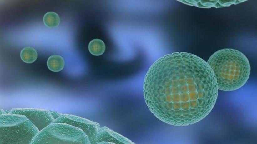 Hepatitis c partnersuche