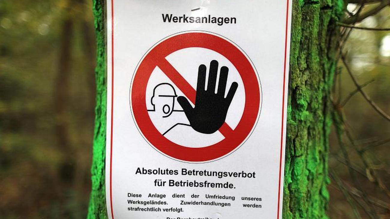 Partnersuche forst