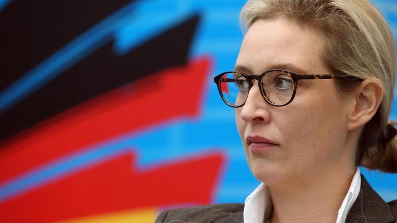 Afd Donation Scandal Prosecution Investigates Against Weidel Teller Report