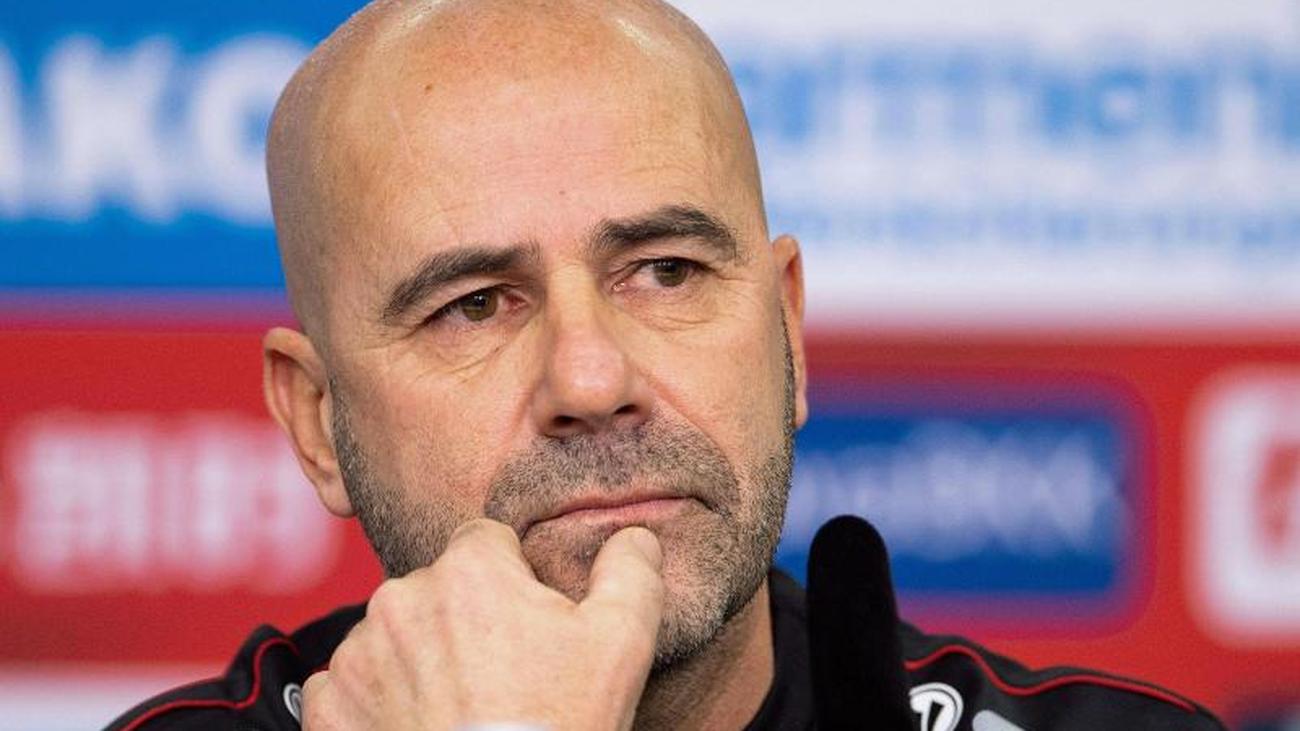 Bosz Trainer Bosz Trainer