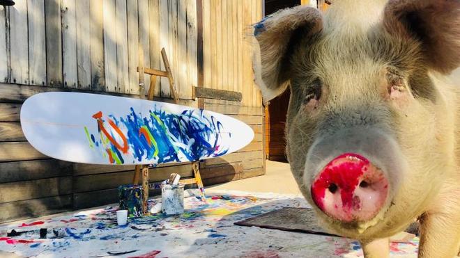 Tierische Gemälde: Pigcasso: Saumäßige Kunst in Südafrika