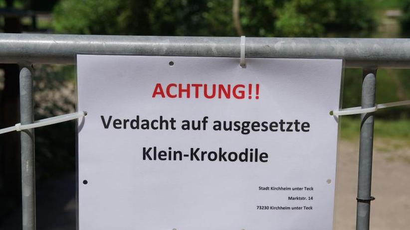Partnersuche kirchheim teck