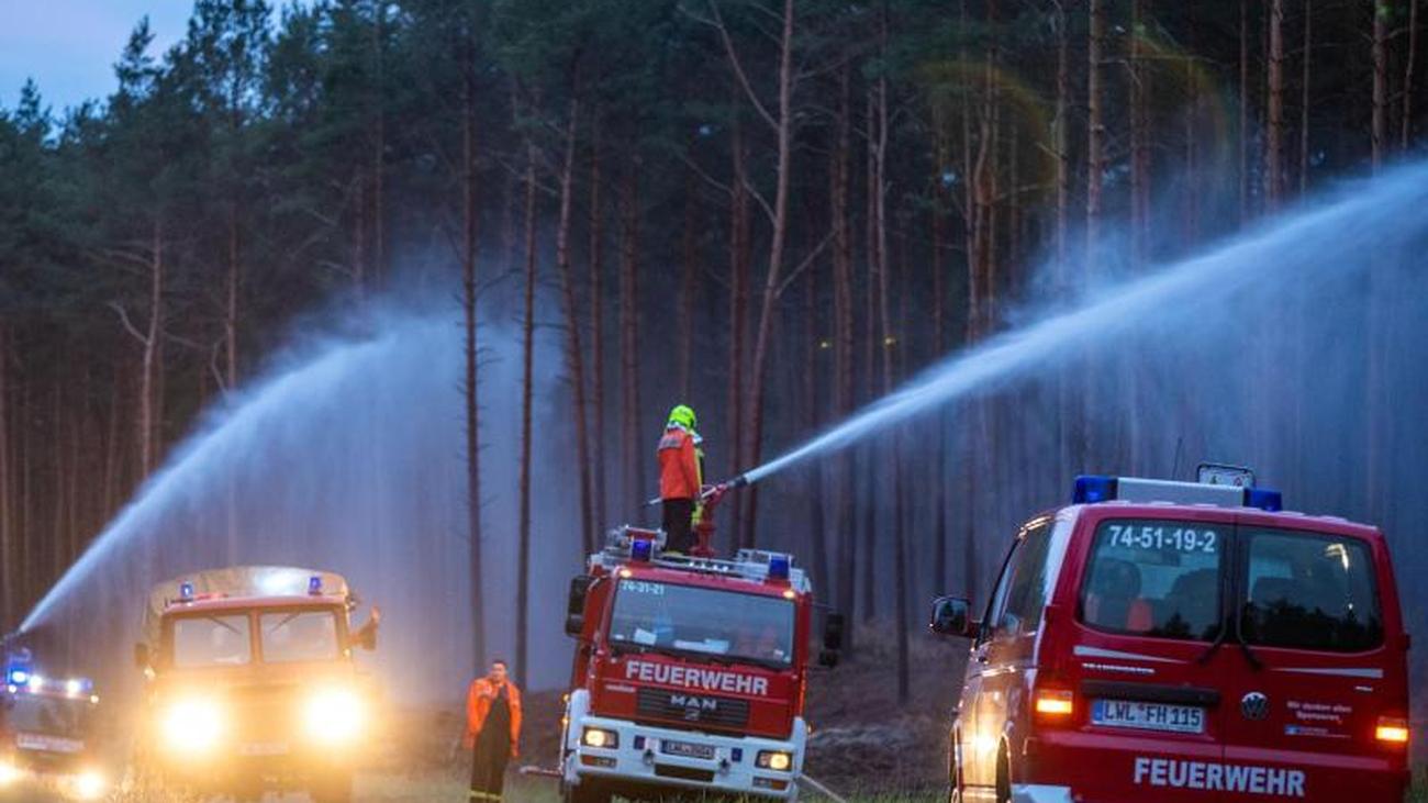 Katastrophenfall ausgerufen: Waldbrand in Mecklenburg-Vorpommern weitet