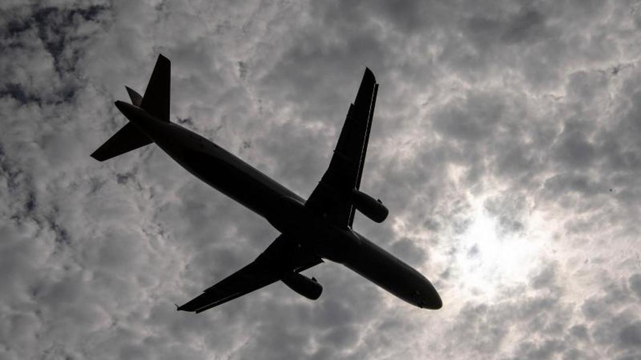 Fluchtling Aus Afrika Blinder Passagier Sturzt Aus Flugzeug In Londoner Garten Zeit Online