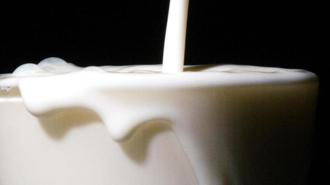   Strain with bacteria: dairy big business takes milk from the market 