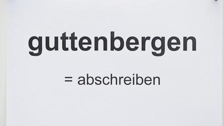 Hintergrund Politiker Promotionen Plagiate Manche Verloren Ihr
