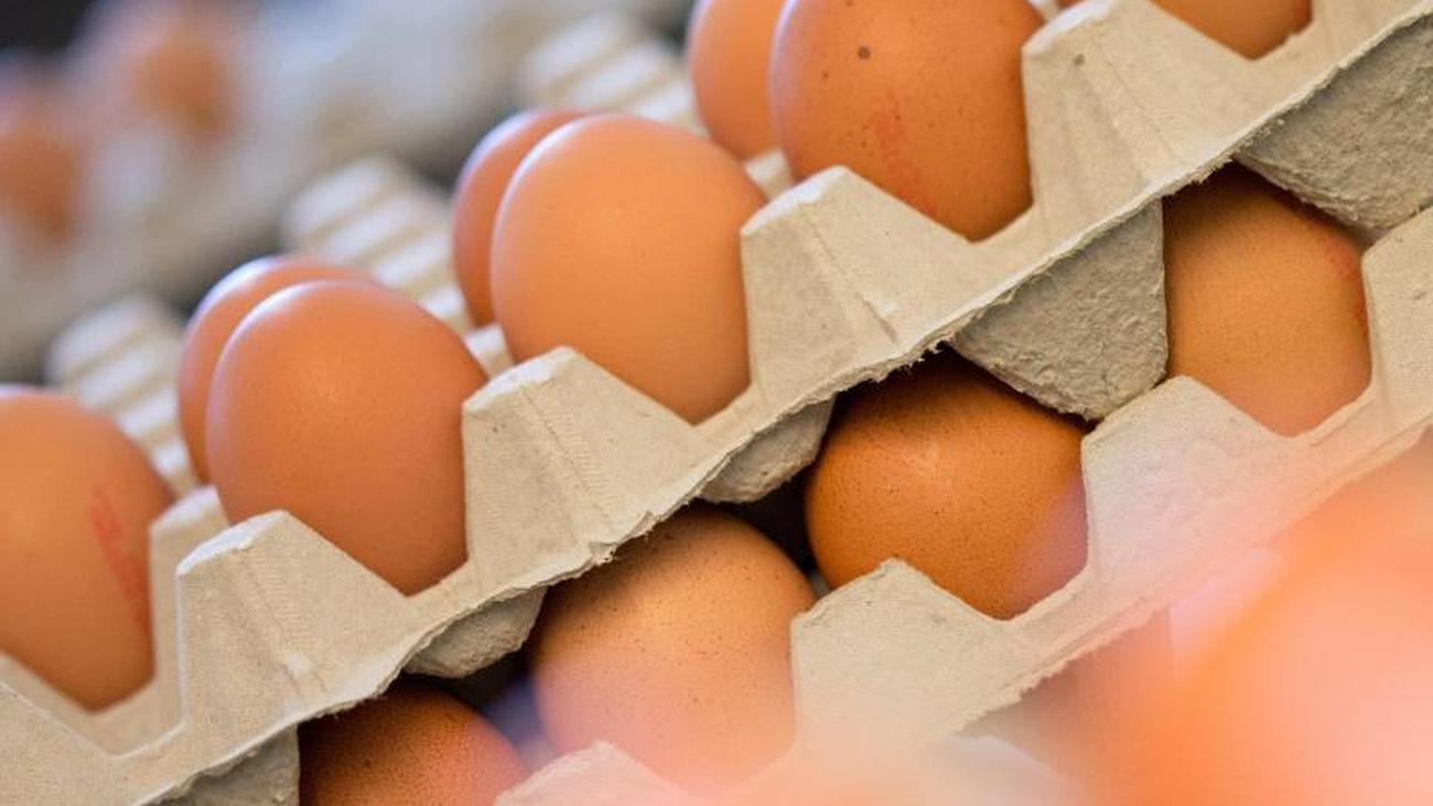 Was Kosten 10 Eier Bei Aldi