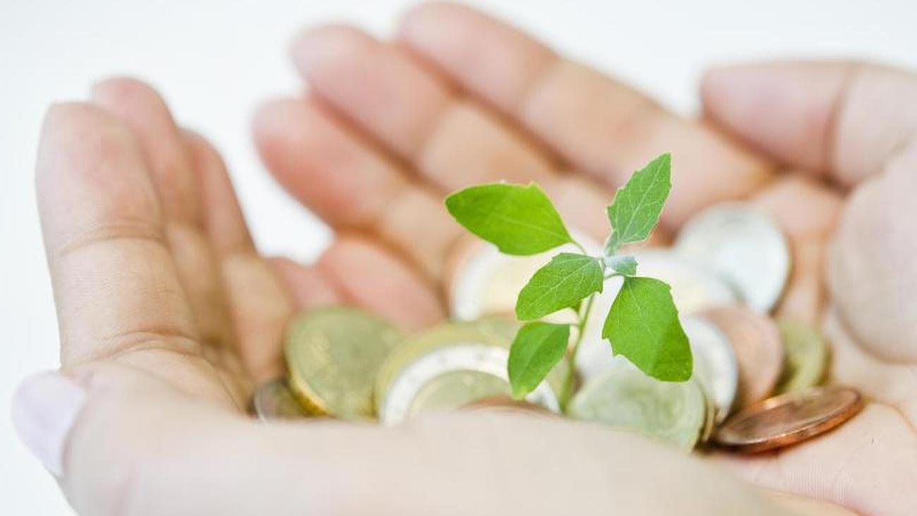 Geld für sich arbeiten lassen So nutzen Sie den Zinseszinseffekt