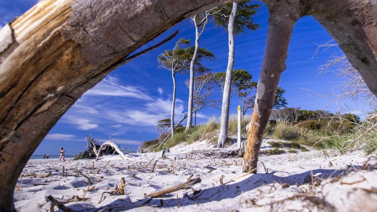 Victorias Secret Free Shipping Details On Site Victorias Secret Free Shipping Details On Site