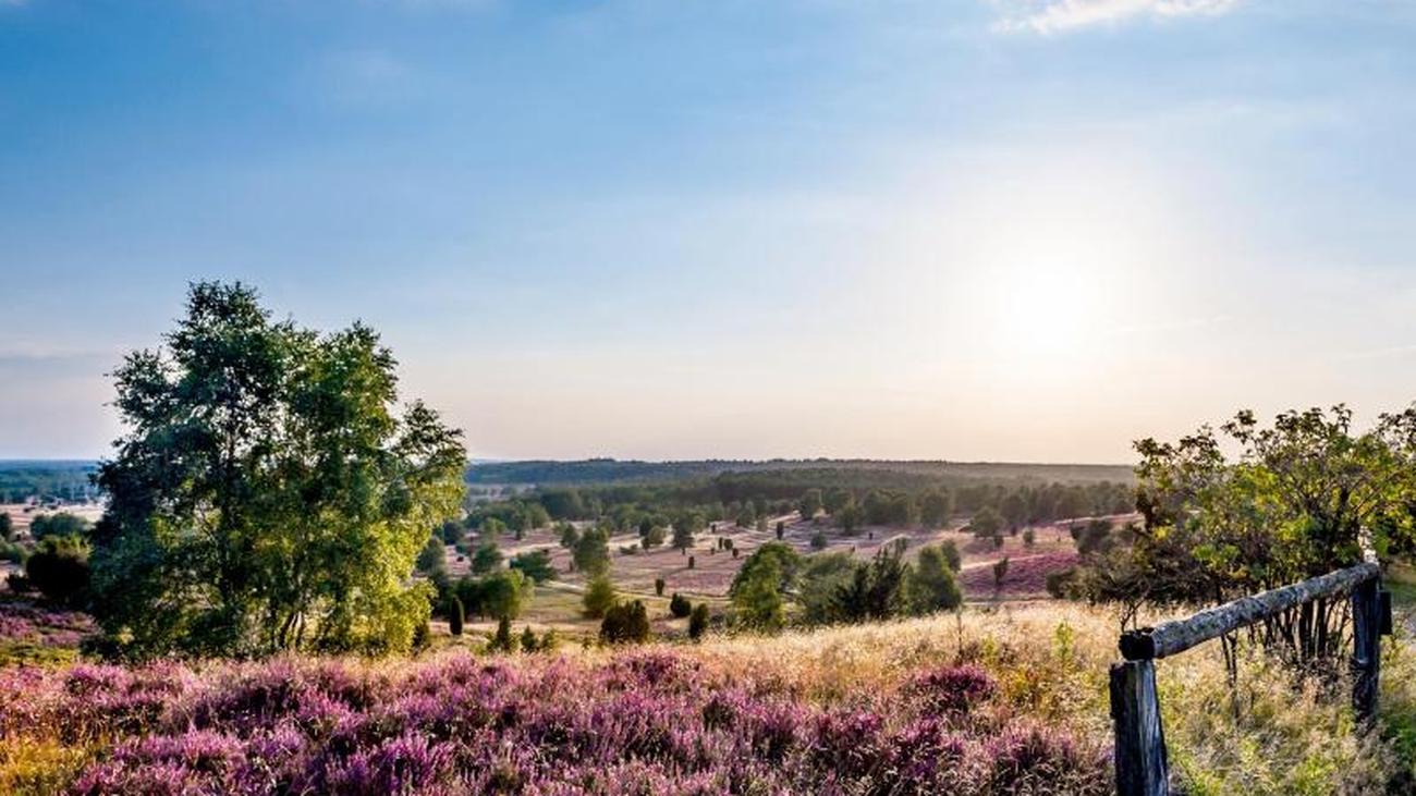 Partnersuche luneburger heide
