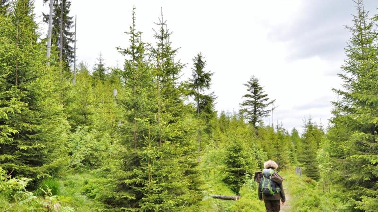 Partnersuche bayerischer wald