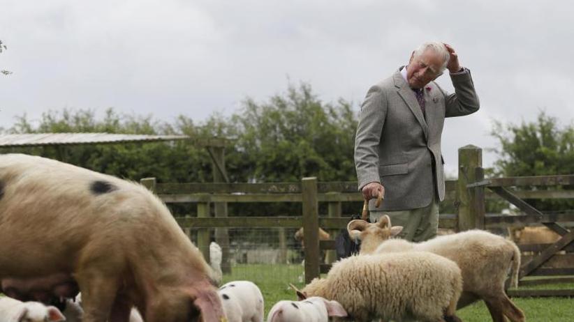 Britisches Königshaus: Ökobauer Prinz Charles verlängert Pachtvertrag