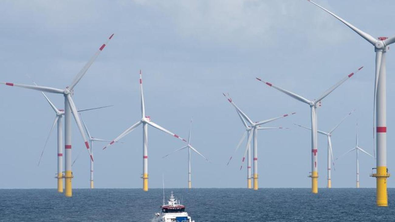 Energy Ewe Sells Project Developers For Offshore Wind Farms Teller Report