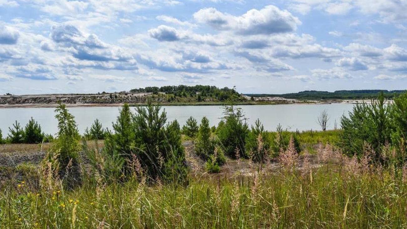 Ausflug ins Berliner Umland Sielmanns Naturlandschaft in Wanninchen zu