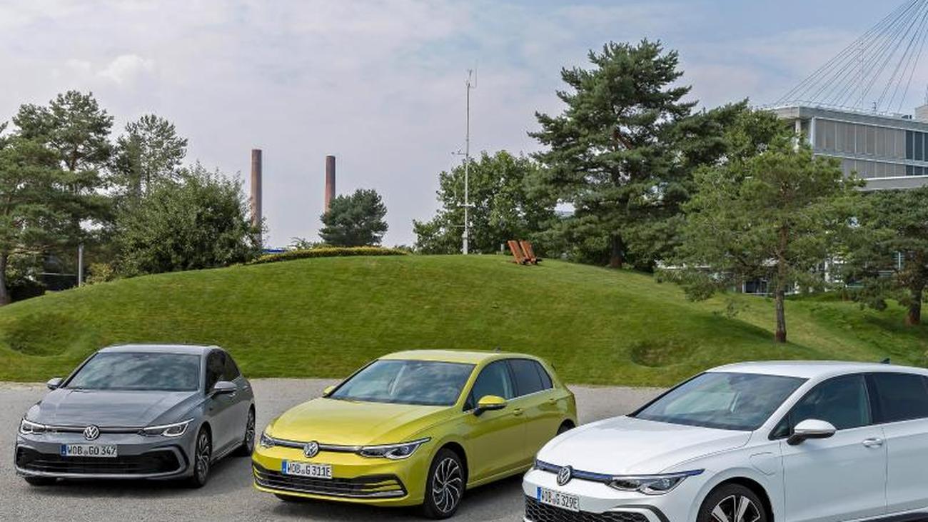 Partnersuche golf