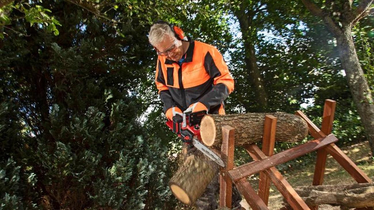 Helfer bei der Gartenarbeit Diese AkkuKettensägen überzeugen im Test