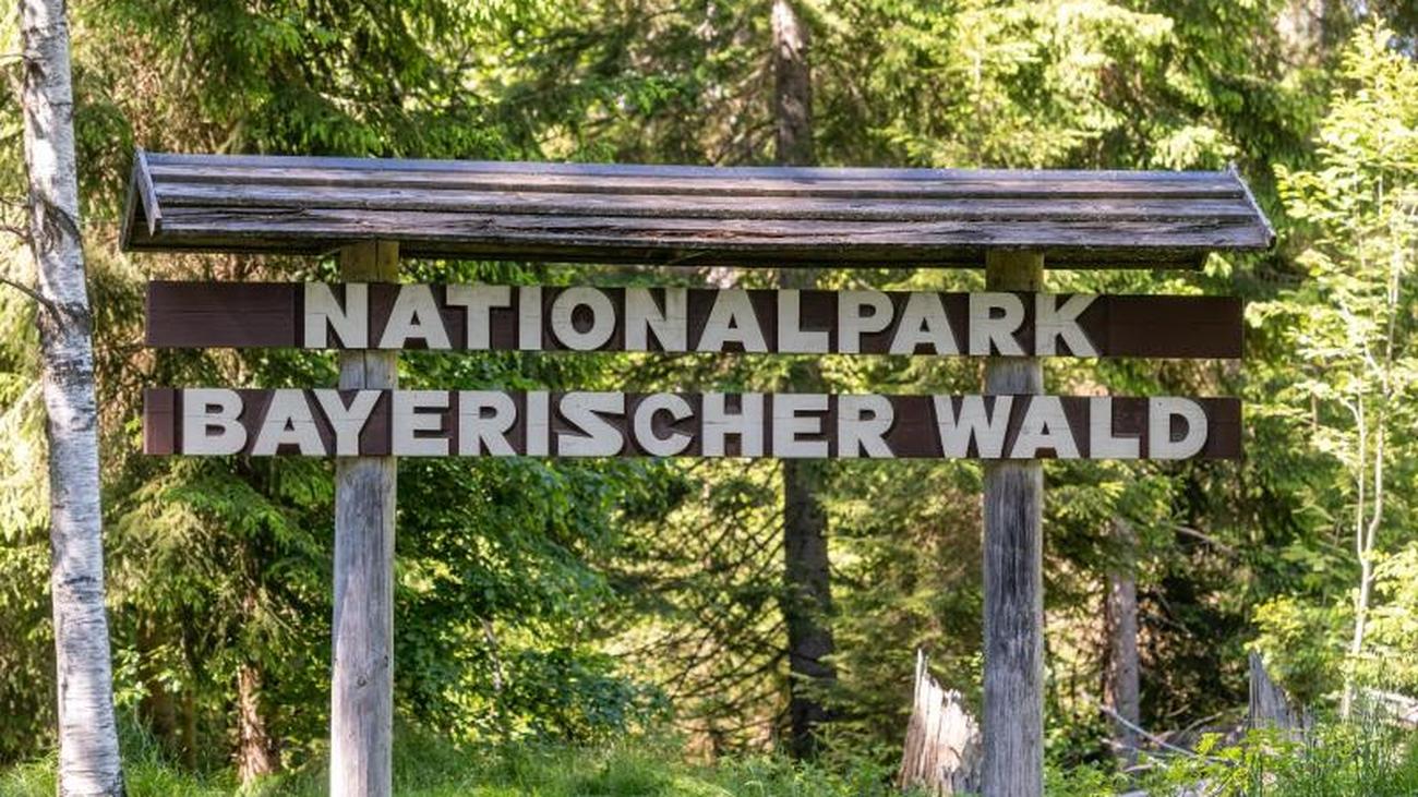 Partnersuche bayerischer wald