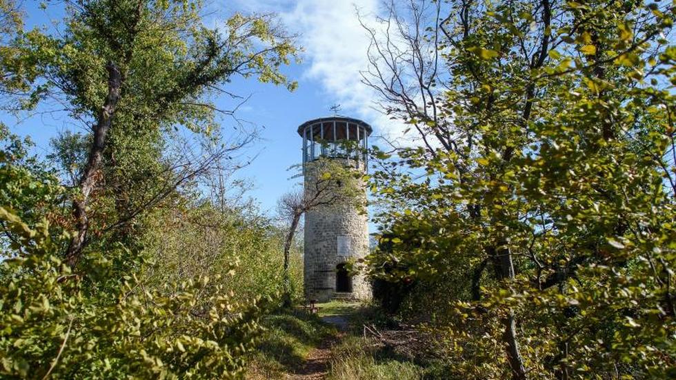  Harzer Wandernadel Wanderstempeln Im Harz Immer Beliebter ZEIT ONLINE