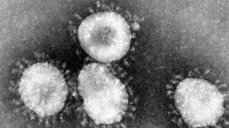 Gesundheit Corona Landkreis Bautzen Uberschreitet Grenzwert Zeit Online