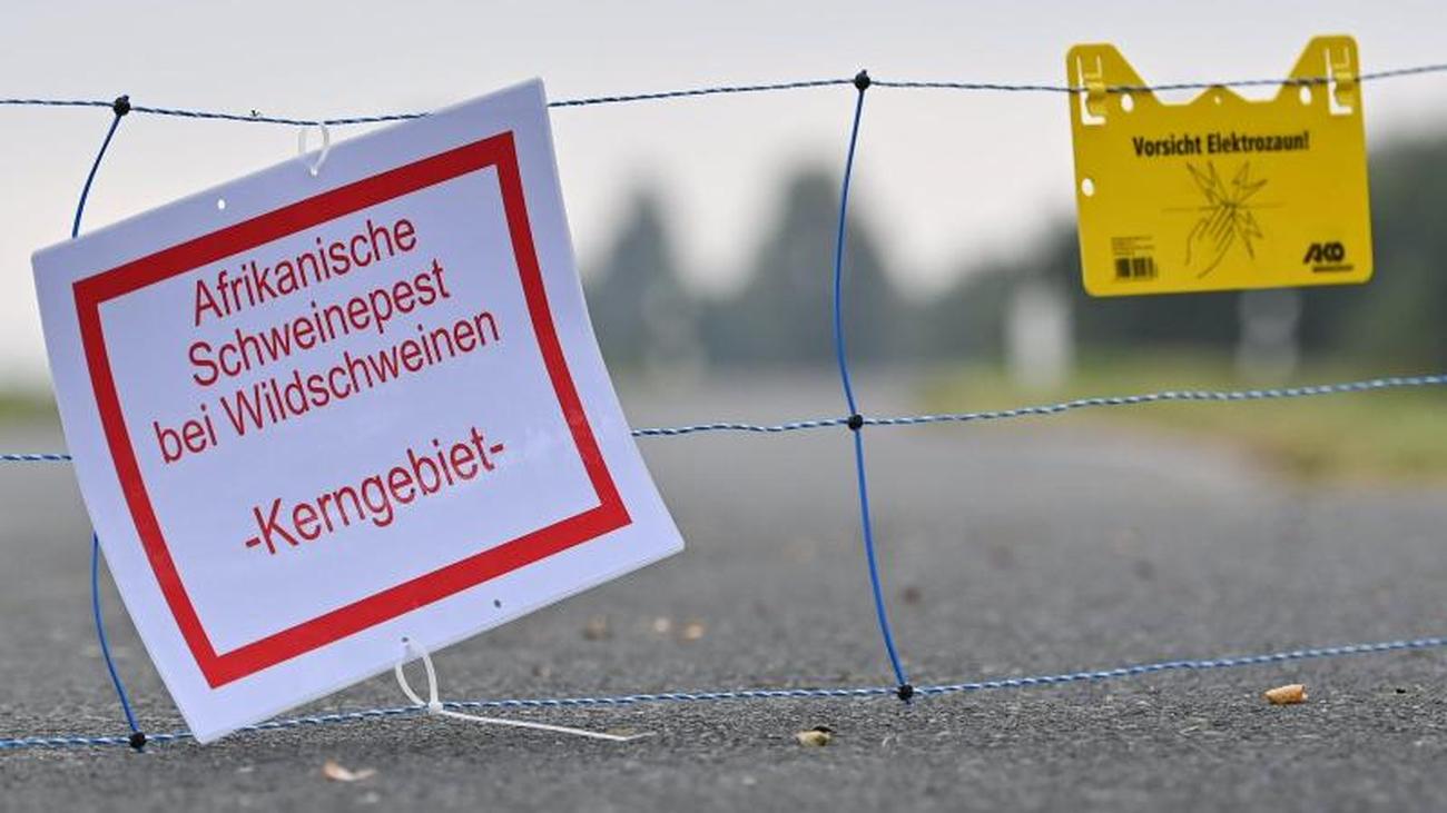 Partnersuche märkisch oderland