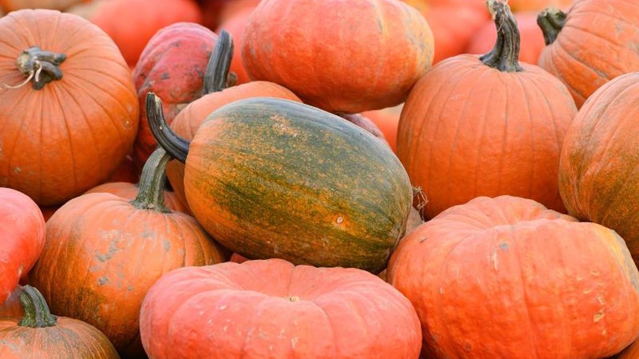 Halloween Schlagzeilen Halloween Schlagzeilen