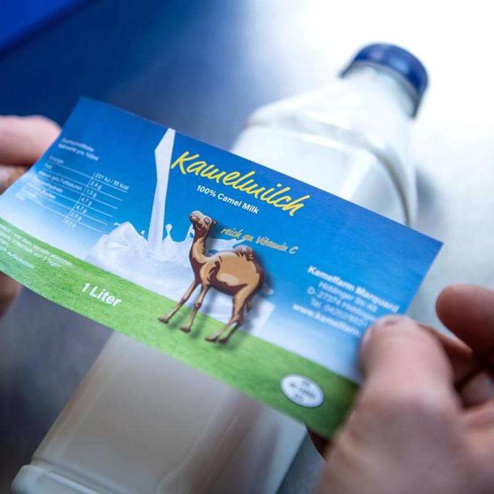 30 Dollar für einen Liter: Darum ist Kamelmilch so teuer