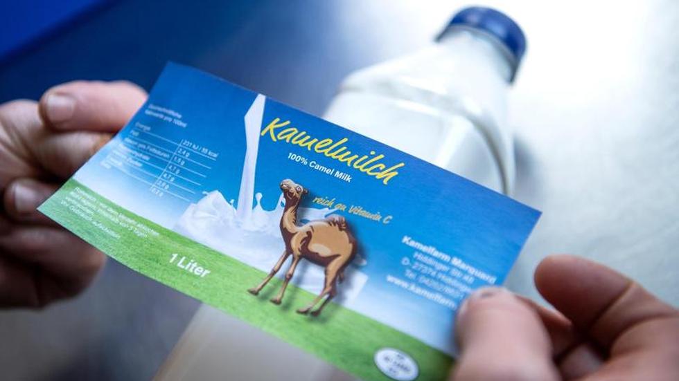 Kann Kamelmilch gegen Krebs eingesetzt werden? 