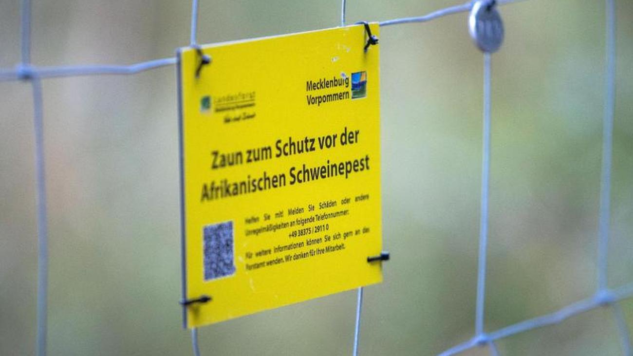 Partnersuche landkreis görlitz