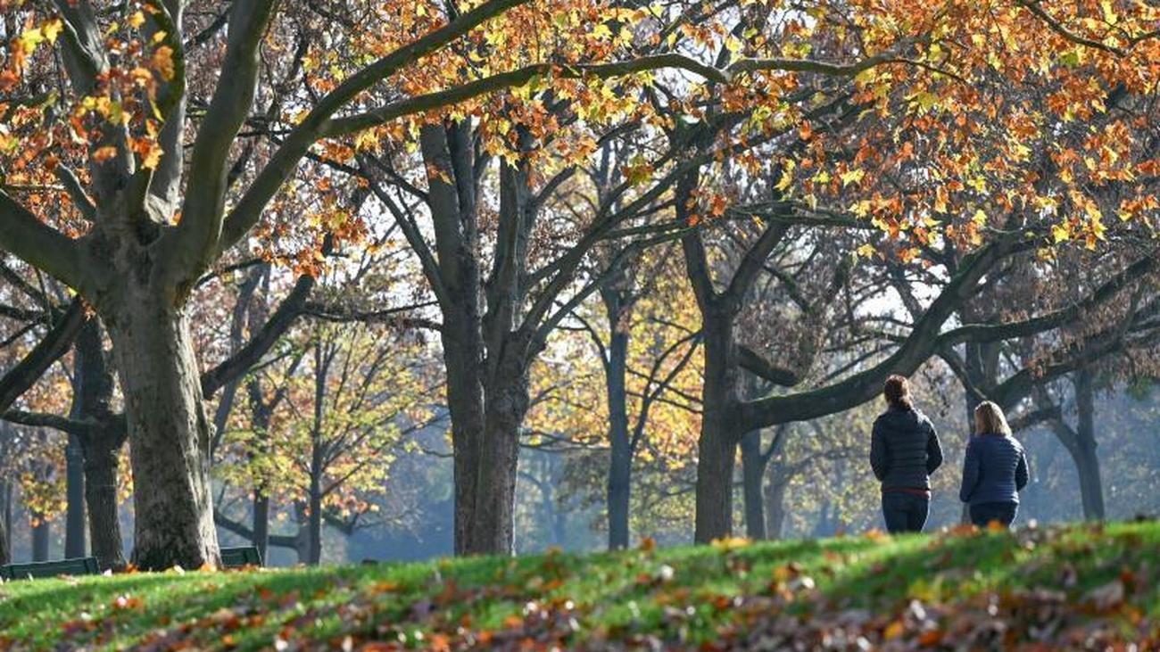 Wetter: Nebel Und Wolken In Rheinland-Pfalz Und Dem Saarland | ZEIT ONLINE