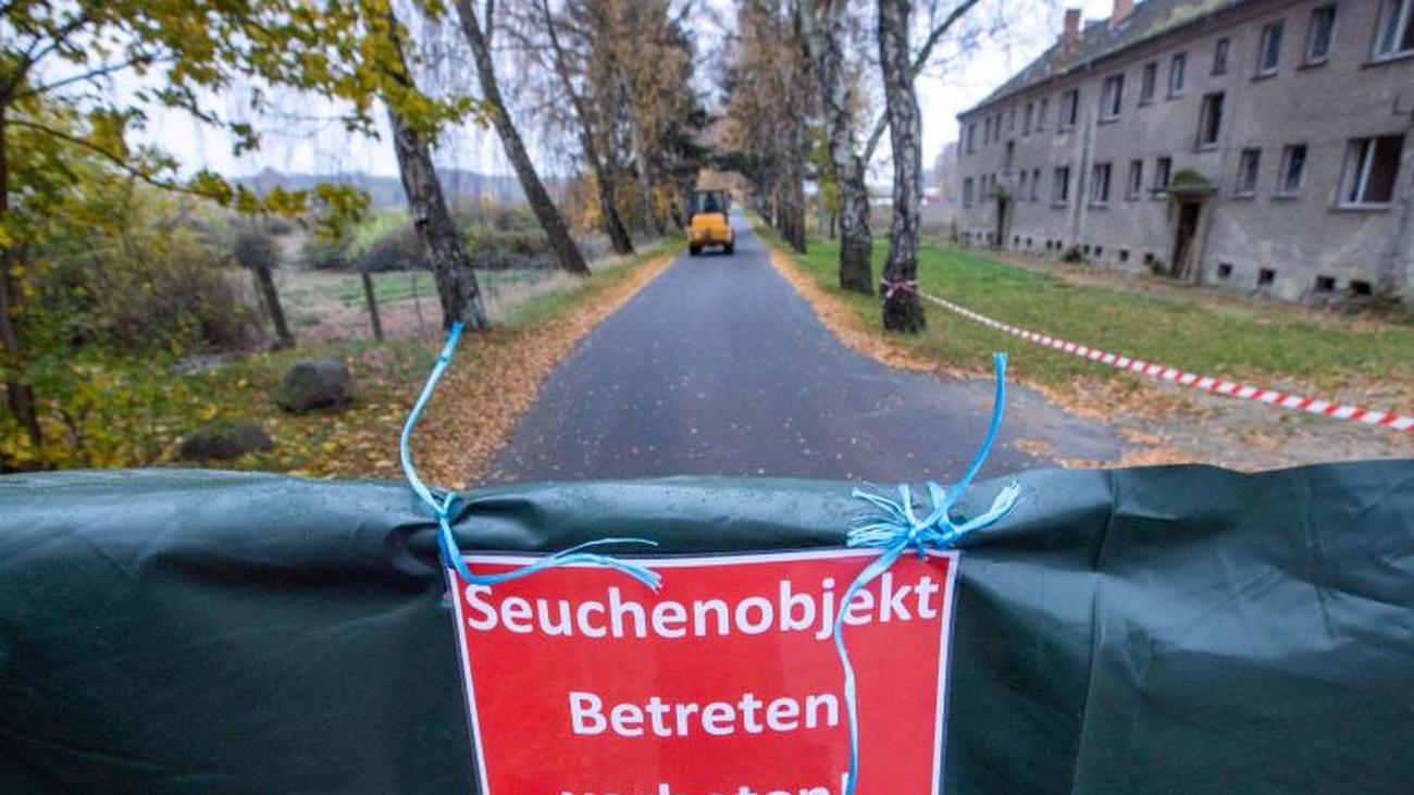 Partnersuche gnoien