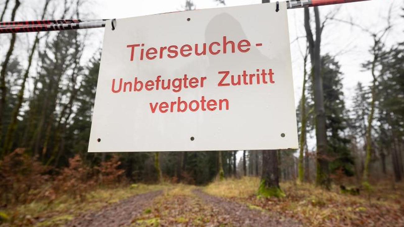 Partnersuche landkreis görlitz