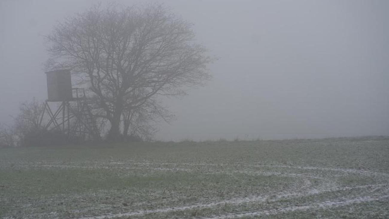 Wetter: Trübes Wetter In Rheinland-Pfalz Und Dem Saarland | ZEIT ONLINE