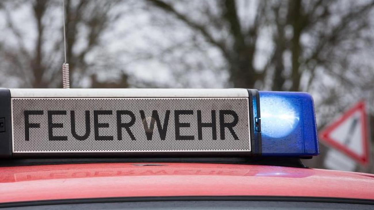 Partnersuche für 20 jährige