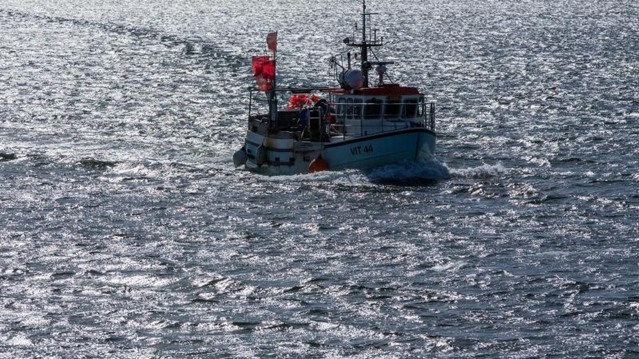 Jahreswechsel Ostseefischerei In Krise Ausfalle Bei Nordseekrabben Zeit Online