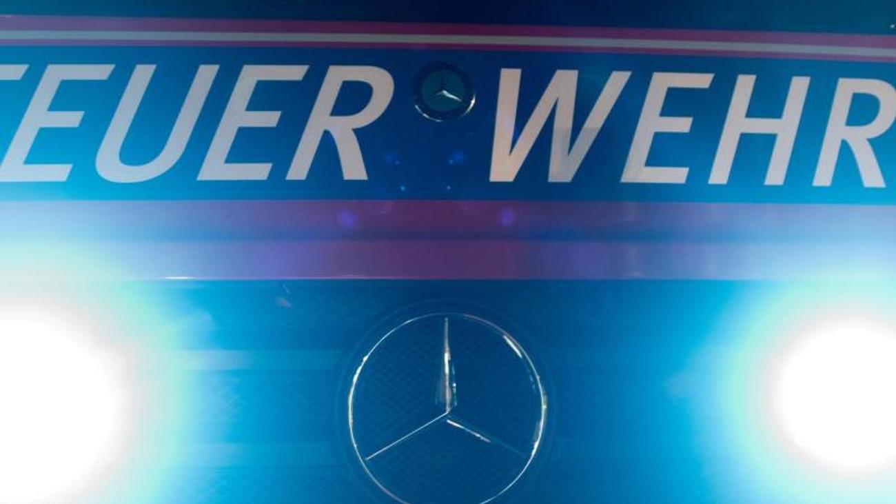 Partnersuche ortenaukreis