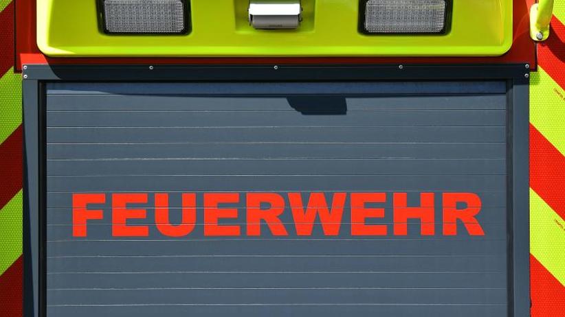 Partnersuche wutöschingen