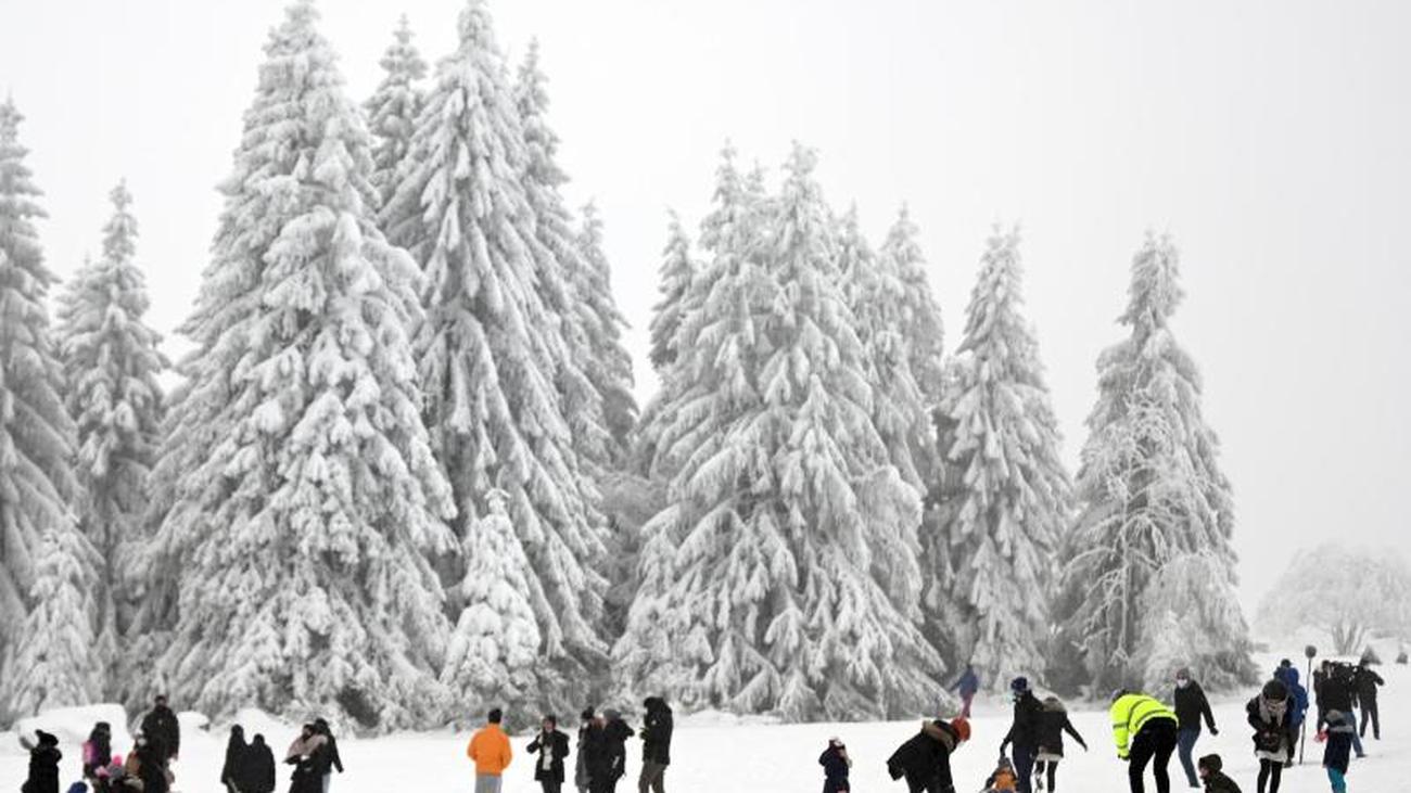 Partnersuche im harz