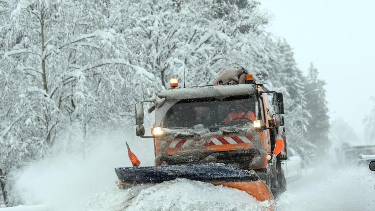 Partnersuche im harz