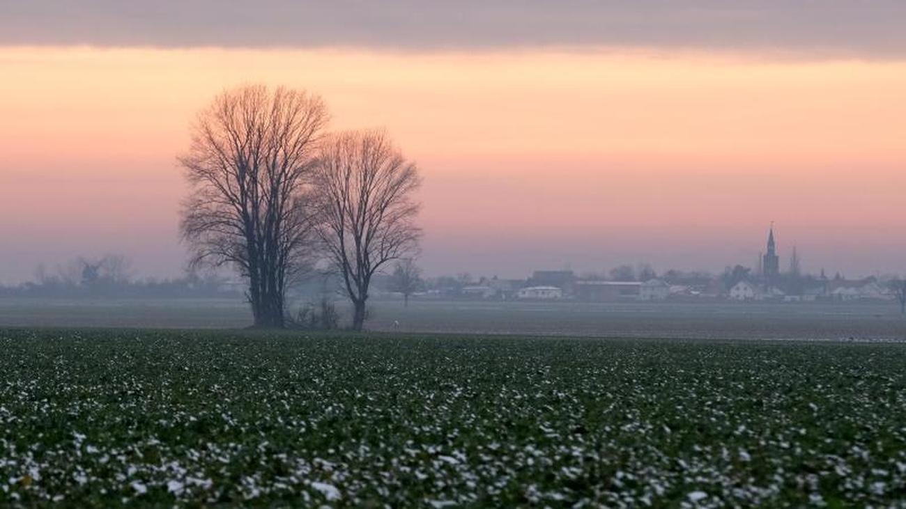 Rtsel Der Woche Der Spiegel Onlinenachrichten
