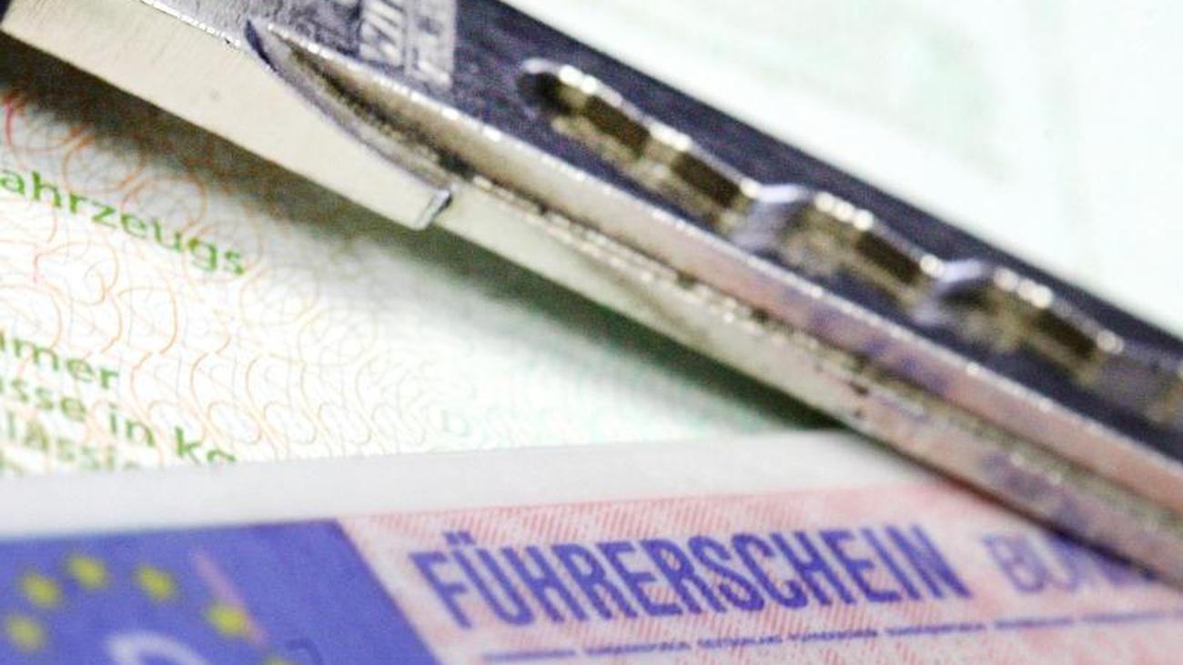 Behörden: Nach drei Monaten fast 50 elektronische Führerschein-Anträge | ZEIT ONLINE