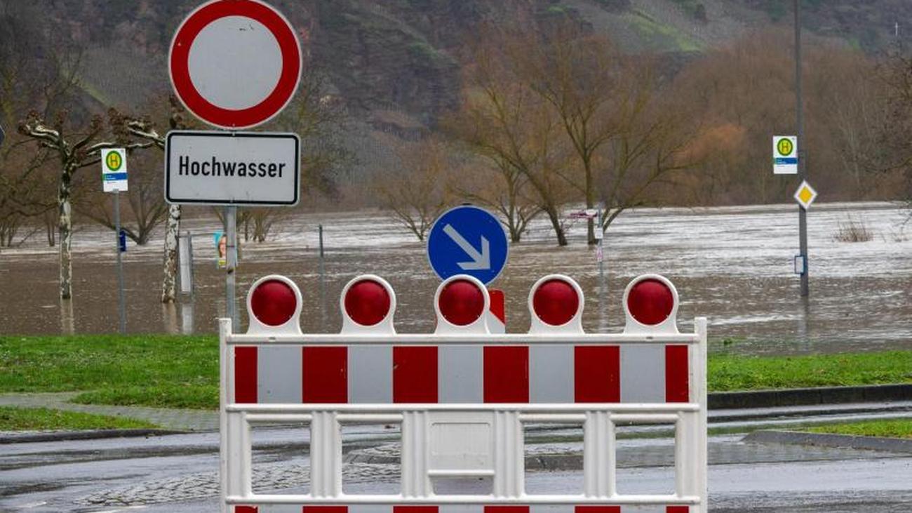 Partnersuche rhein sieg