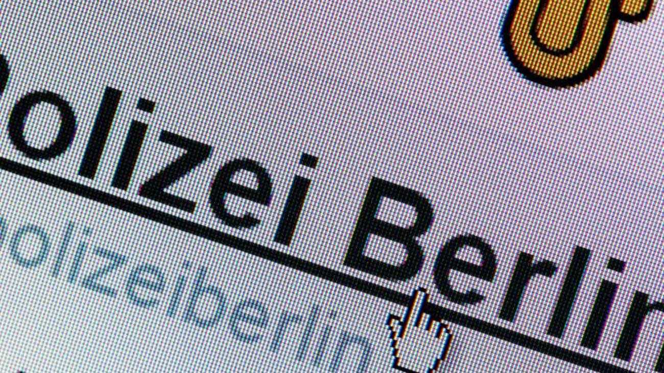 Halbe Brüder Online Anschauen Halbe Brüder Online Anschauen