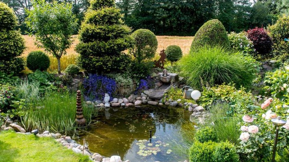 Gartenteich anlegen Von der Planung bis zum Wasserparadies ZEIT ONLINE