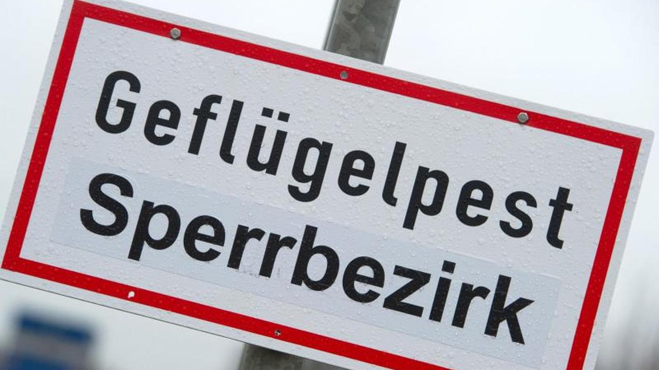 Partnersuche landkreis kassel